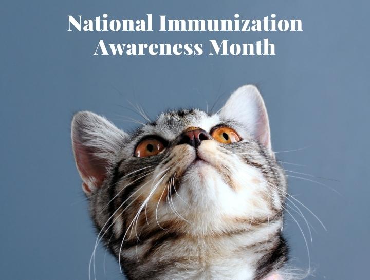 National Immunization Awareness Month