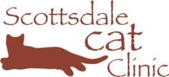 Link to Homepage of Scottsdale Cat Clinic