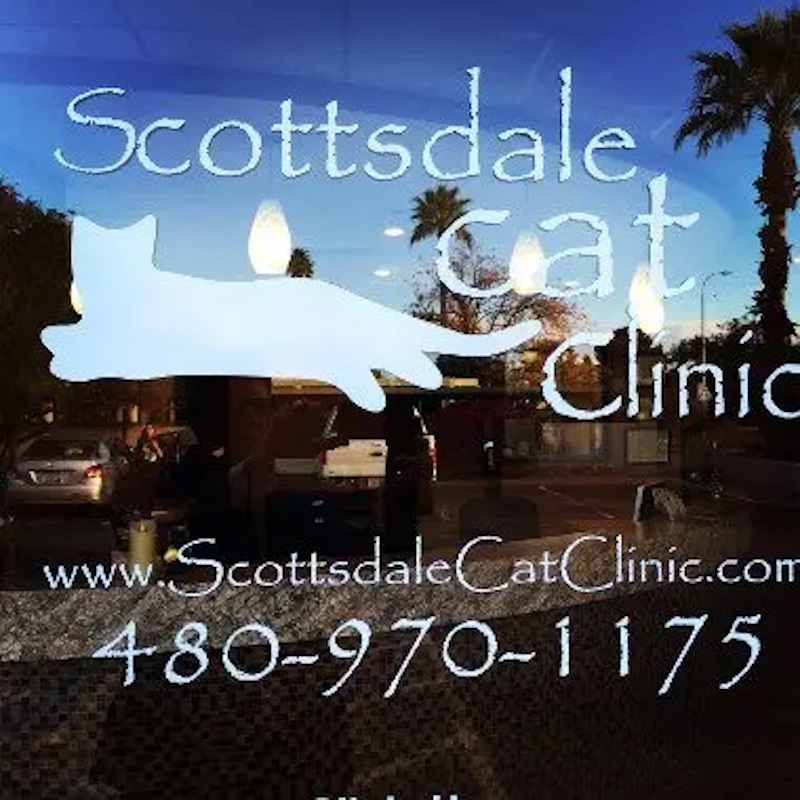 About Scottsdale Cat Clinic in Scottsdale, AZ