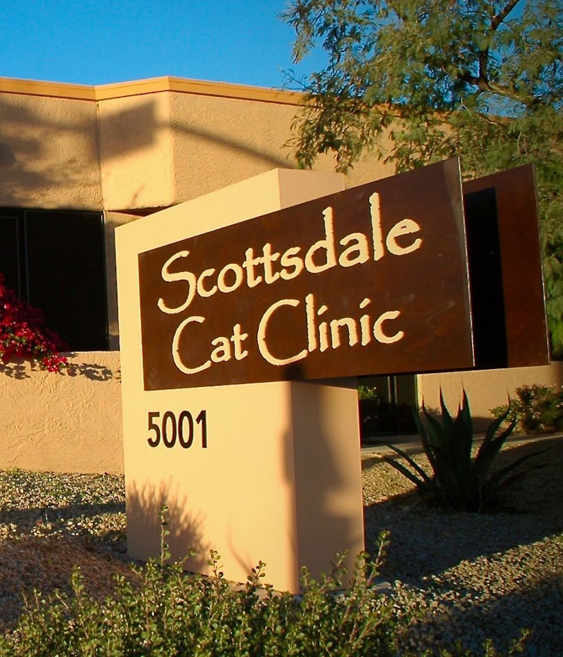 Scottsdale Cat Clinic Scottsdale Cat Hospital