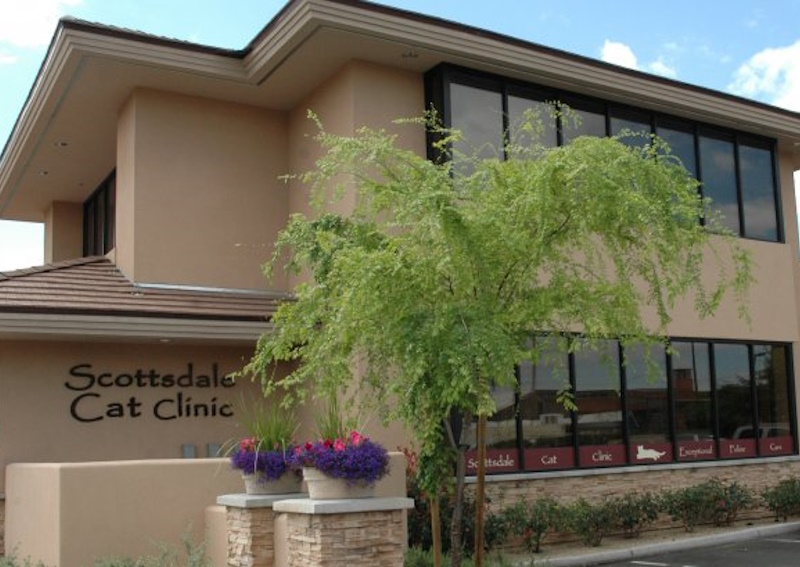 Carousel Slide 3: Meet Scottsdale Cat Clinic's veterinarians